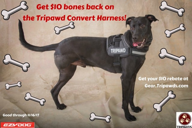 Tripawd convert 2025 harness by ezydog