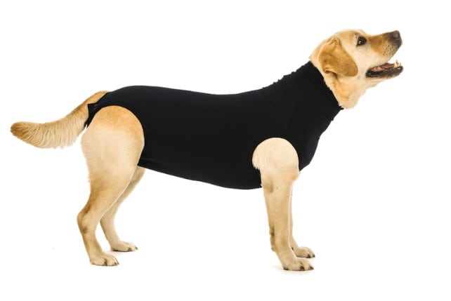 Suitical Pet Recovery Suit for Dogs