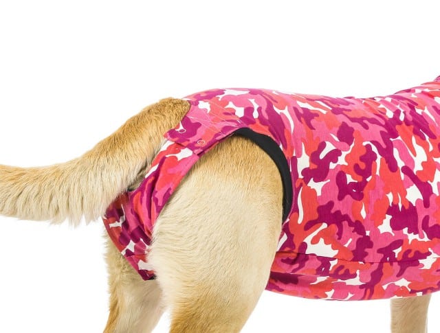 Suitical Pet Recovery Suit for Dogs