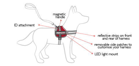 EzyDog Tripawd Convert Harness