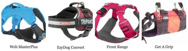 Best Harnesses for Tripawds