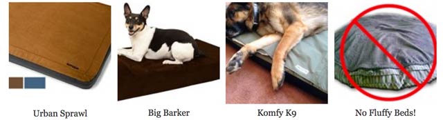 Best Dog Beds for Tripawds