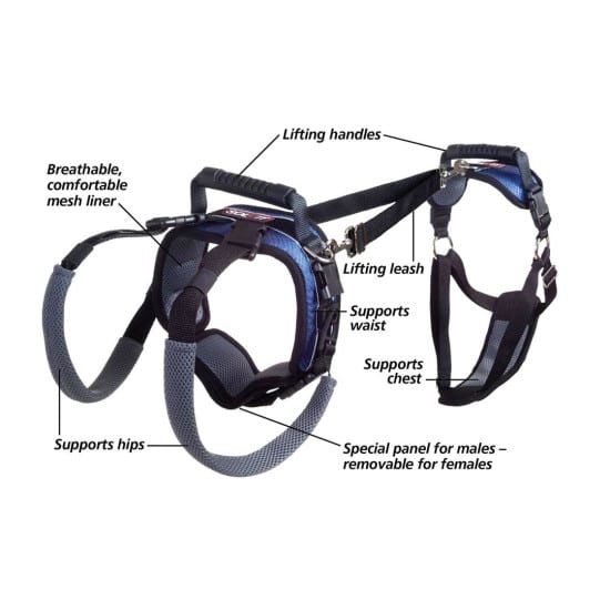 Dog Lifting Harness