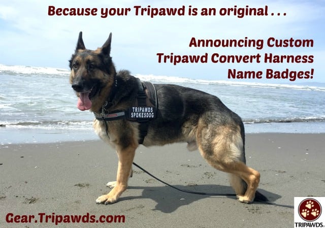 Tripawd Convert Harness Custom Badges