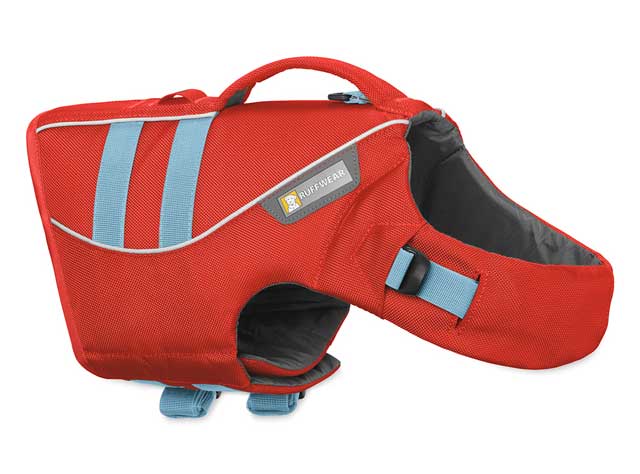 Tripawd doggie life jacket