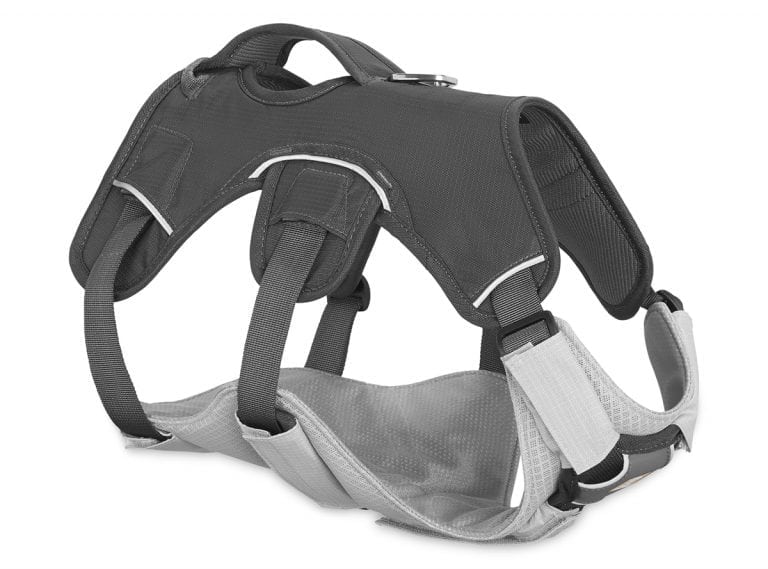 Best Three Legged Dog Harness to Help Support Amputee Dogs