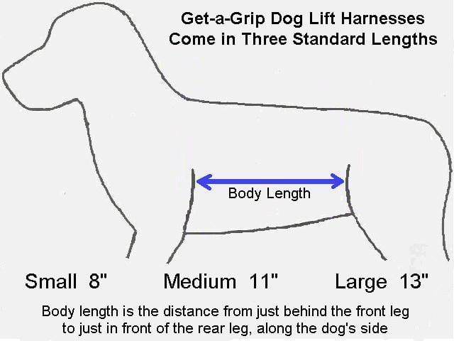 Use Get A Grip Harness to Help Large 3 Legged Dogs