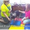Tripawd Exercise Ideas for the FitPAWS Balance Pad Tripawd Exercise Ideas with Balance Pad