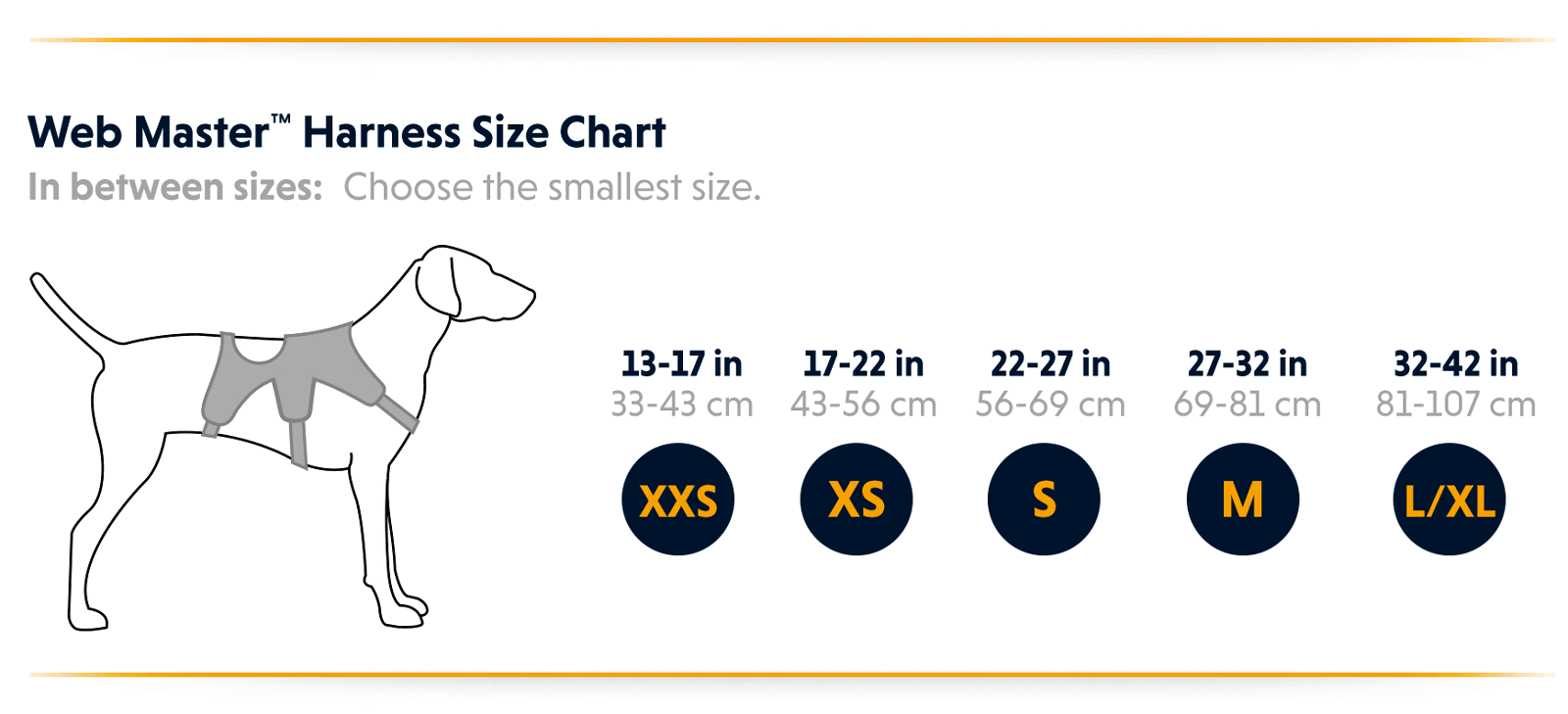 Ruffwear webmaster harness outlet sizing