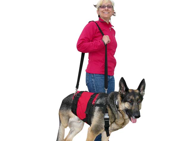 Custom 3 Legged Dog Harness Sling with Strap