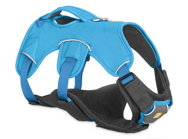 Tripawd harness for snow and ice