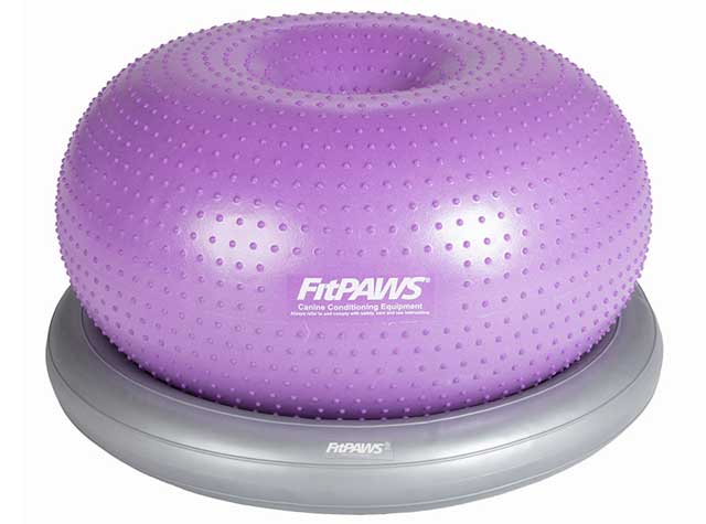 Tripawds favorite exercise equipment