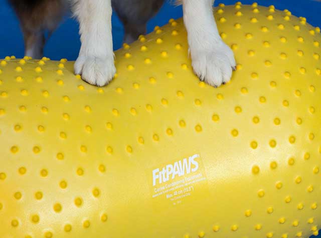 FitPAWS Peanut Dog Exercise