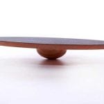 FitPAWS Wobble Board