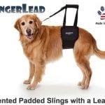 GingerLead Dog Sling Rear Support Harness