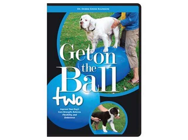 Get on the Ball DVD