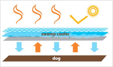 cooling dog harness