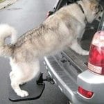 Twistep Hitch Step for Dogs