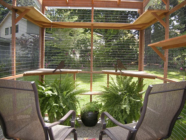 DIY Catio Plans for Tripawds