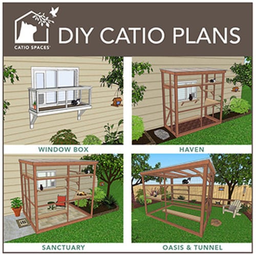 tripawd cat safety fence