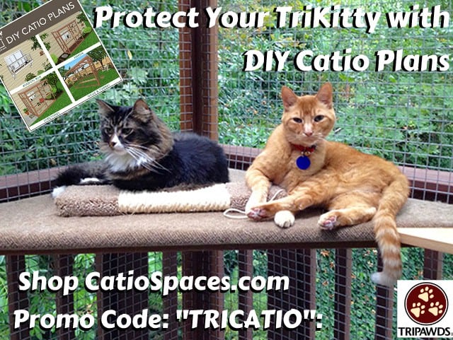 DIY Catio Plans for Tripawds