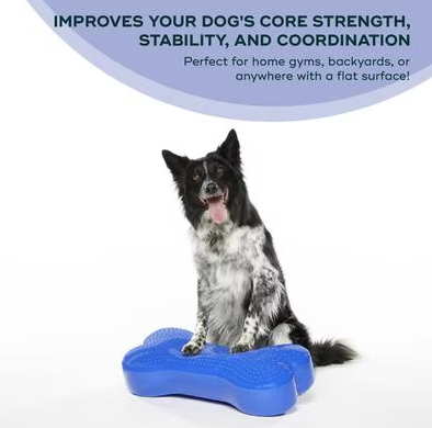FitPAWS K9FITbone Dog Training Regular Balancing Bone