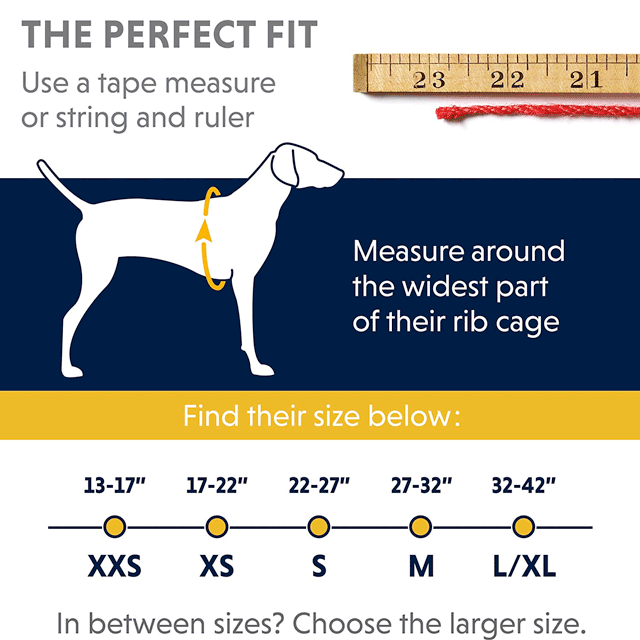 huid bagageruimte Onderzoek Ruffwear Front Range Harness Great Walking Harness for Small Dogs