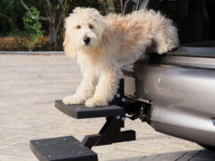 Happy Ride® Dog Hitch Step