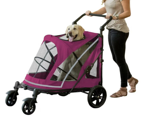 Pet Gear Expedition Big Dog Stroller