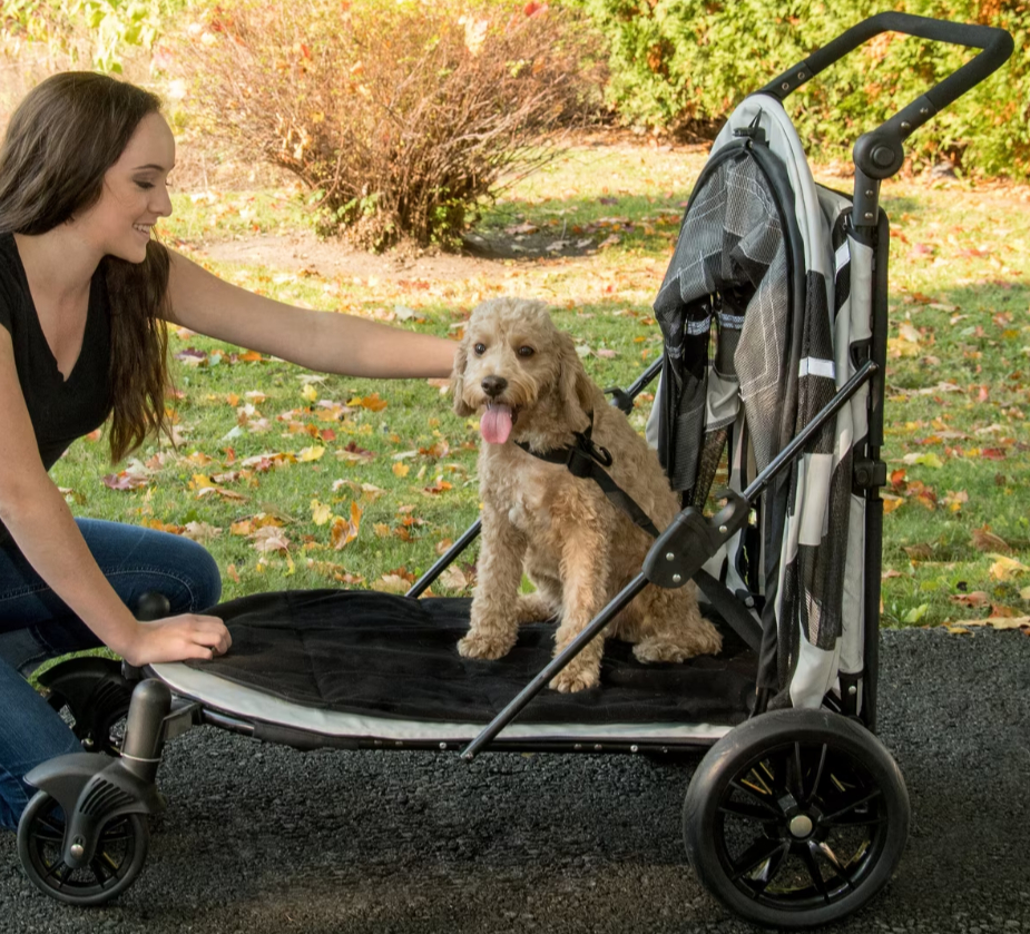 Pet Gear Expedition Dog Stroller for Tripawds