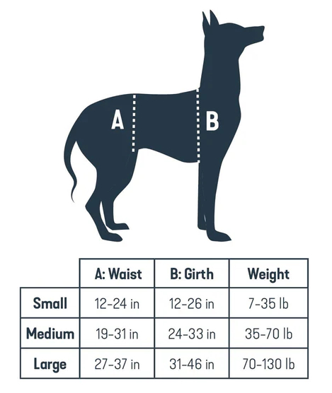 PetSafe CareLift Hip Lift harness for Tripawd dogs