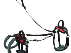 PetSafe CareLift Hip Lift harness for Tripawd dogs