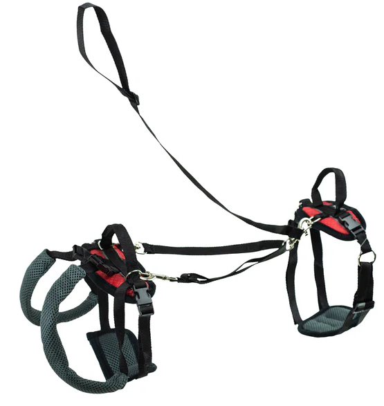 PetSafe CareLift Hip Lift harness for Tripawd dogs