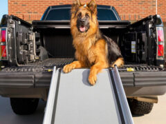 PetSafe Adjustable Ramp for Extra Large Dogs