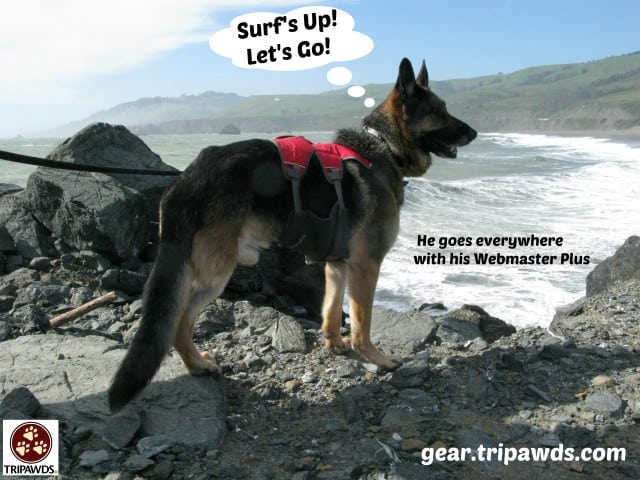 Tripawds Gear Coupon
