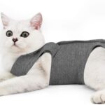 recovery suit for cats
