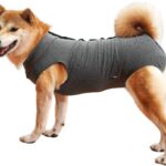 dog recovery suit