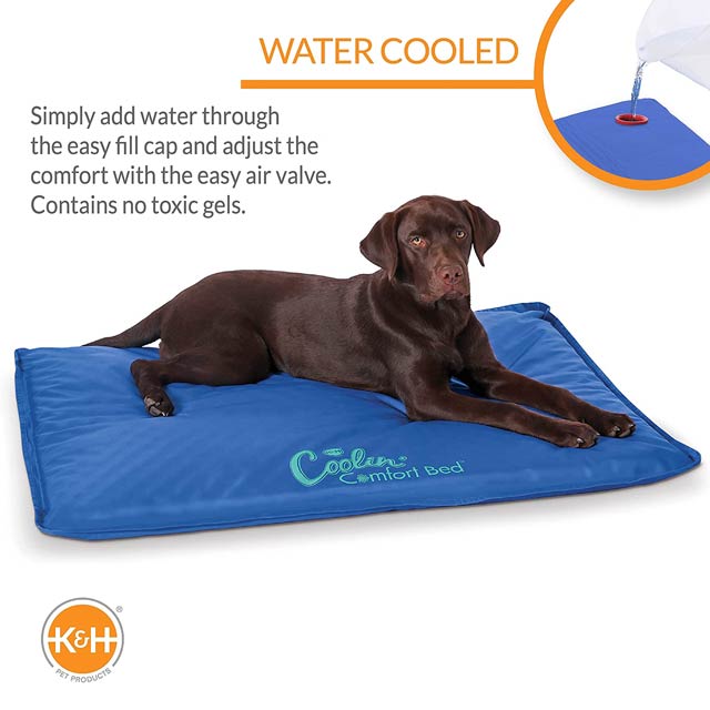 strip Verenigde Staten van Amerika Vergissing K&H Cool Bed III Cooling Dog Bed