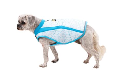 Cooling Dog Vest