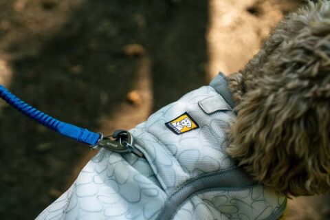 Cooling Dog Vest