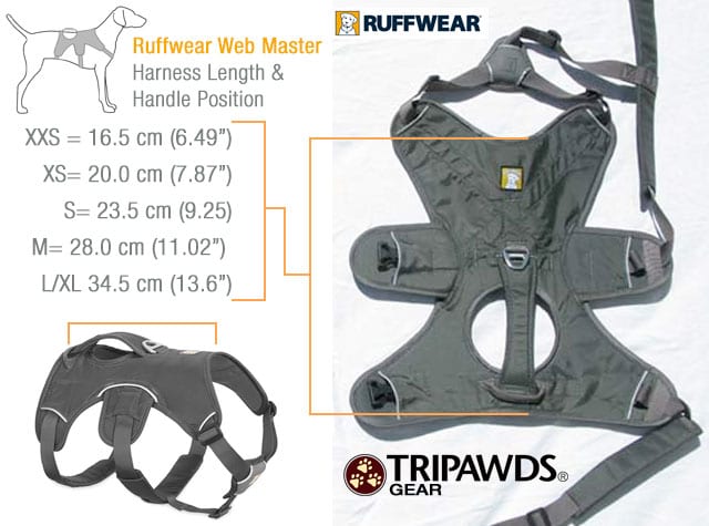 Reisbureau Bespreken Onbevreesd Ruffwear Web Master Best 3-Legged Dog Harness