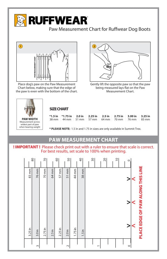 measure paws for dog boots