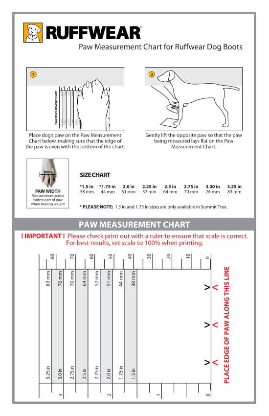 how are dog boots measured