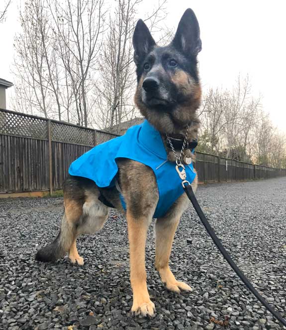 ruffwear sun shower dog jacket