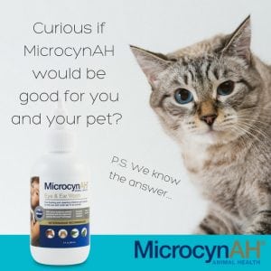 Why Pet First Aid Kits Need MicrocynAH Wound and Skin Care