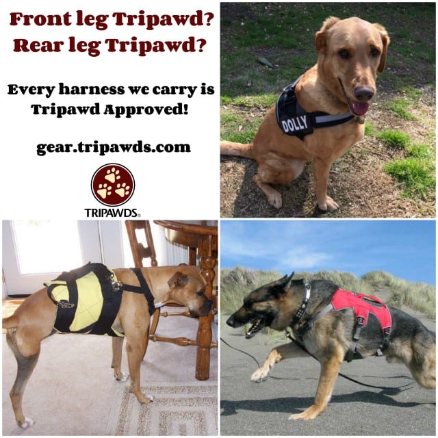 Tripawd Approved Dog Harness