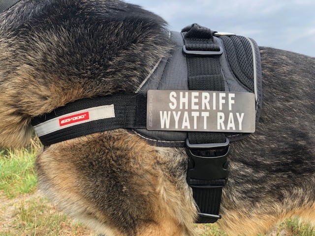 Custom Tripawd Convert harness badges