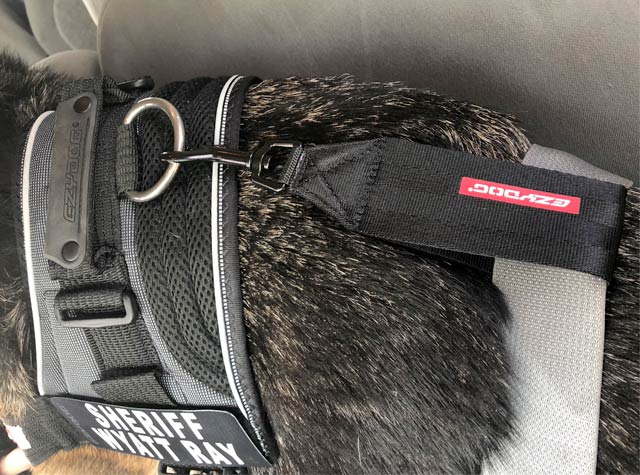 EzyDog dog harness seat belt restraints 