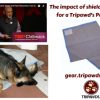 Can Our Smart Devices Interfere with Our Tripawd’s Pain Relief? Tripawds pain relief