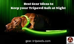 tripawd safe gear